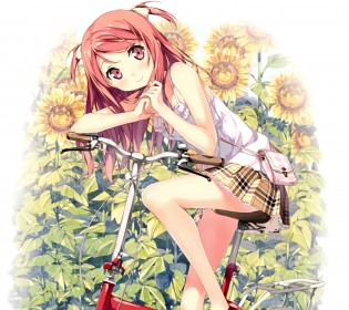 イラストレーター壁紙