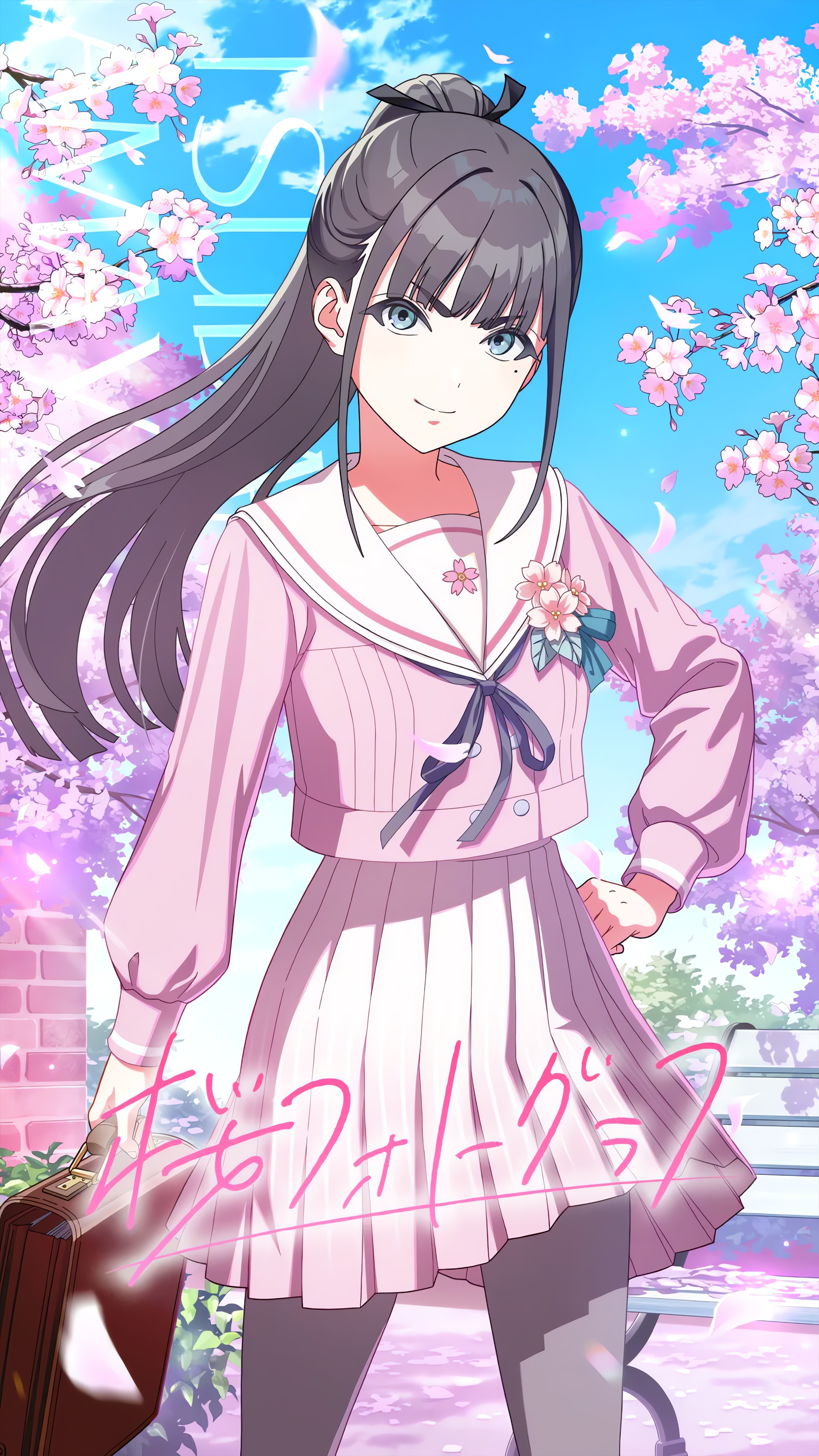 学マス雨夜燕高画質画像